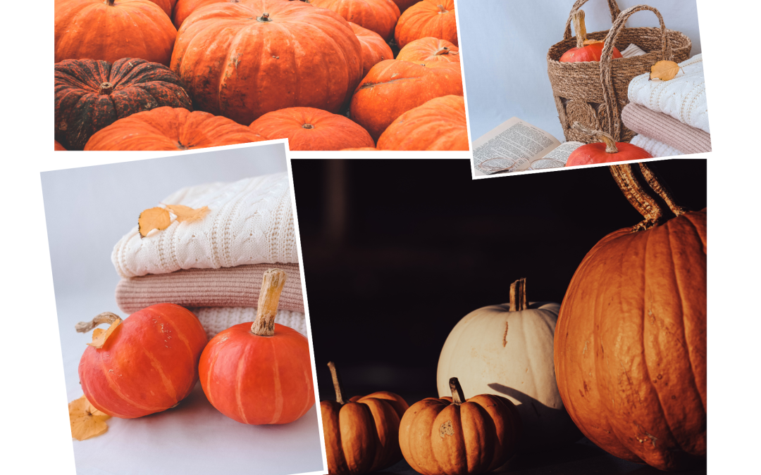 La Magie de la Citrouille en Belgique: